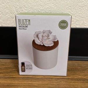 Bluzen Succulent Stone Diffuser